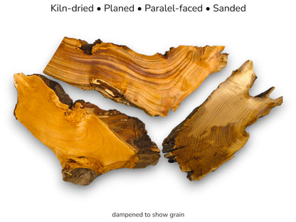 Three golden-hued timber sections with dark, rugged bark display their swirling grain patterns.