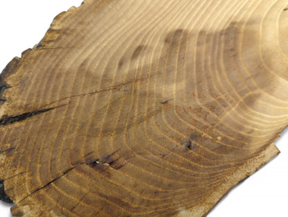 Unfinished, irregular wood slice with light brown surface, detailed concentric grain, dark cracks, and live edge.