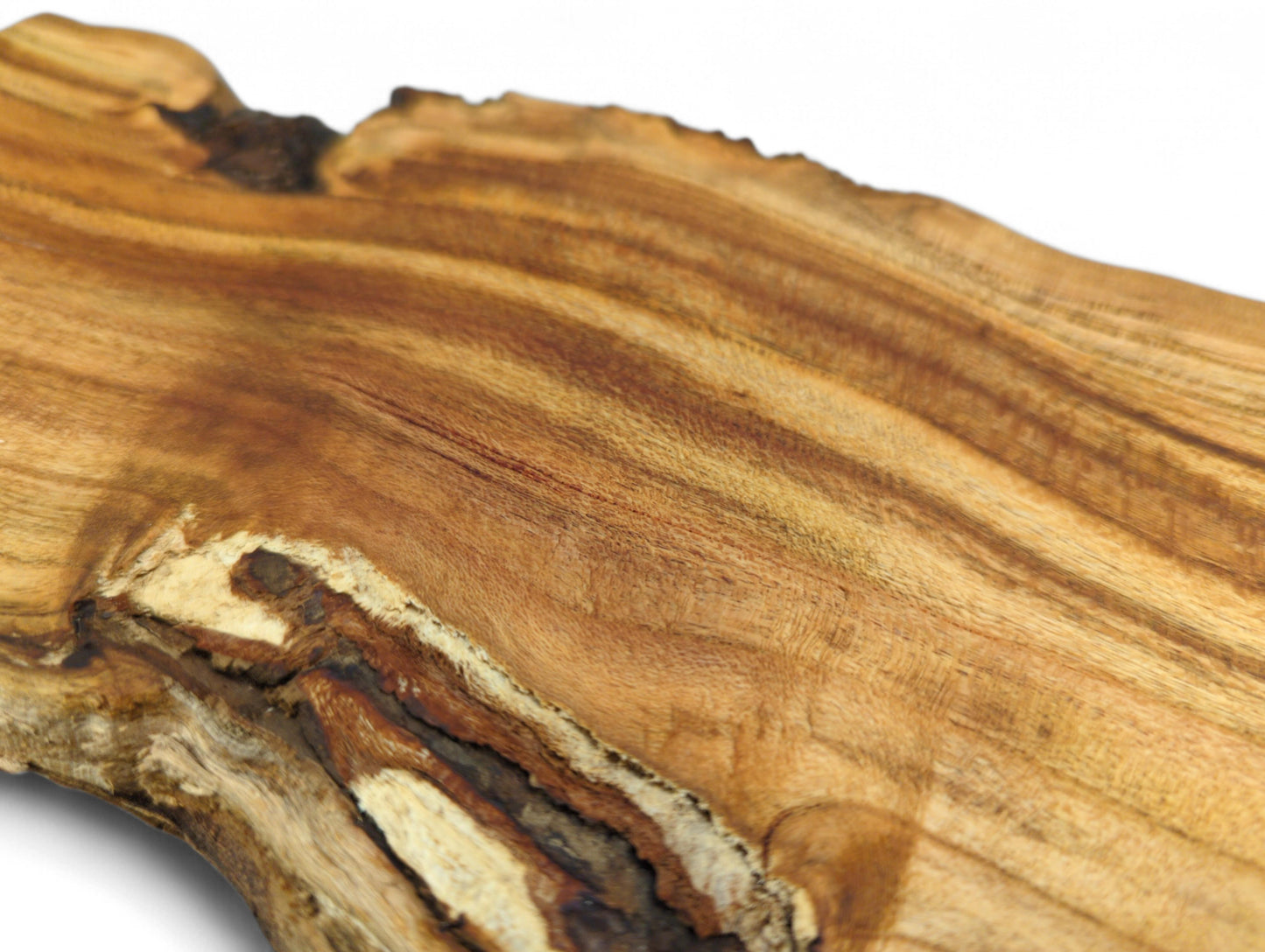 Detailed view of a raw, irregular wood slice, showing diverse brown tones and distinct live edge grain.