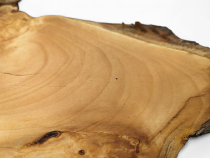 Close-up shows a single irregular wood slice with smooth light brown surface and prominent grain, dark live edge.