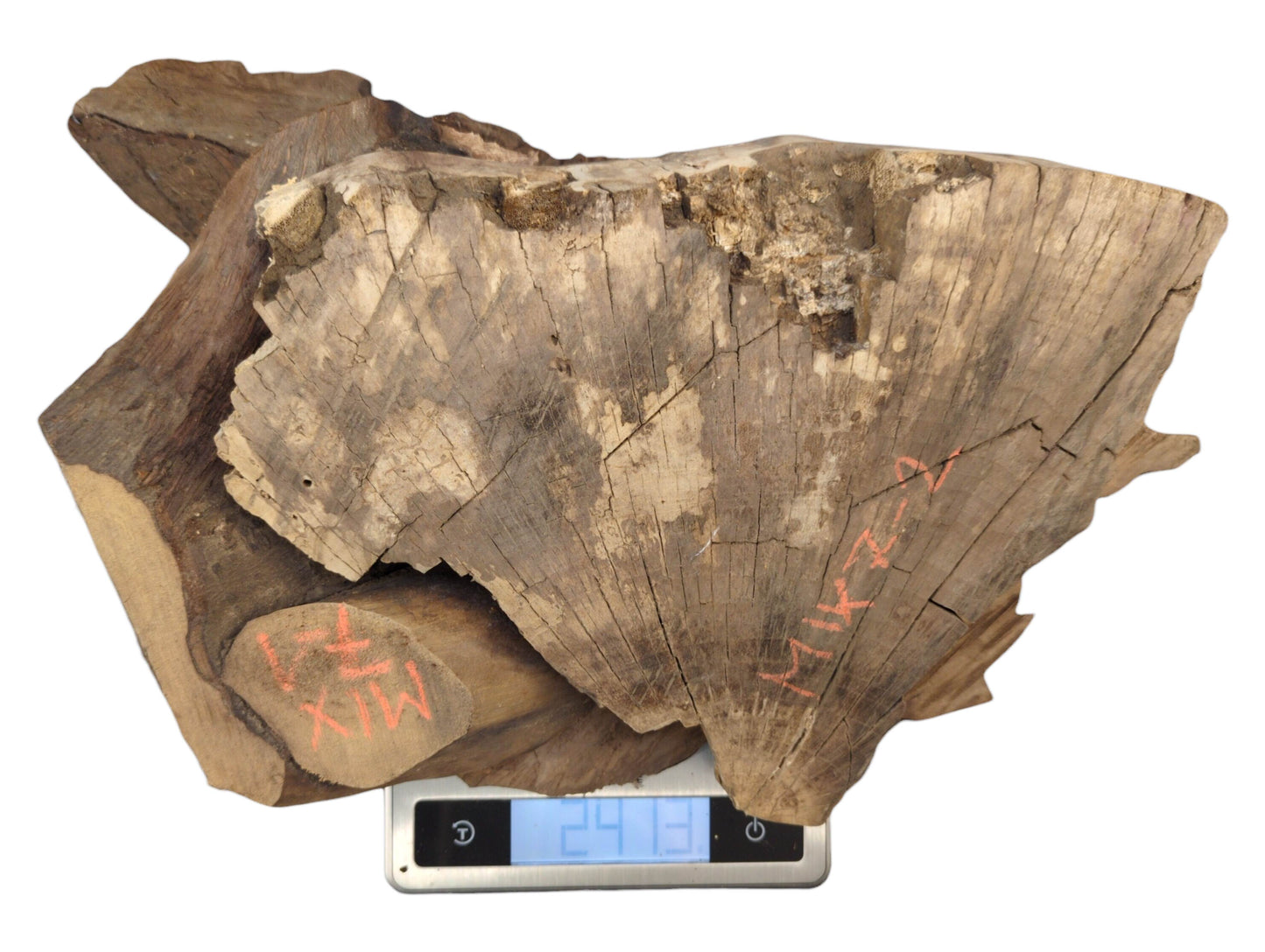 Light brown, wedge-shaped wood slice with grain, cracks, red markings, and a digital scale showing '2.4'.