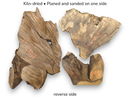Brown, irregular wood pieces with orange codes and cracks. Overlaid text notes 'Kiln-dried' and 'reverse side'.