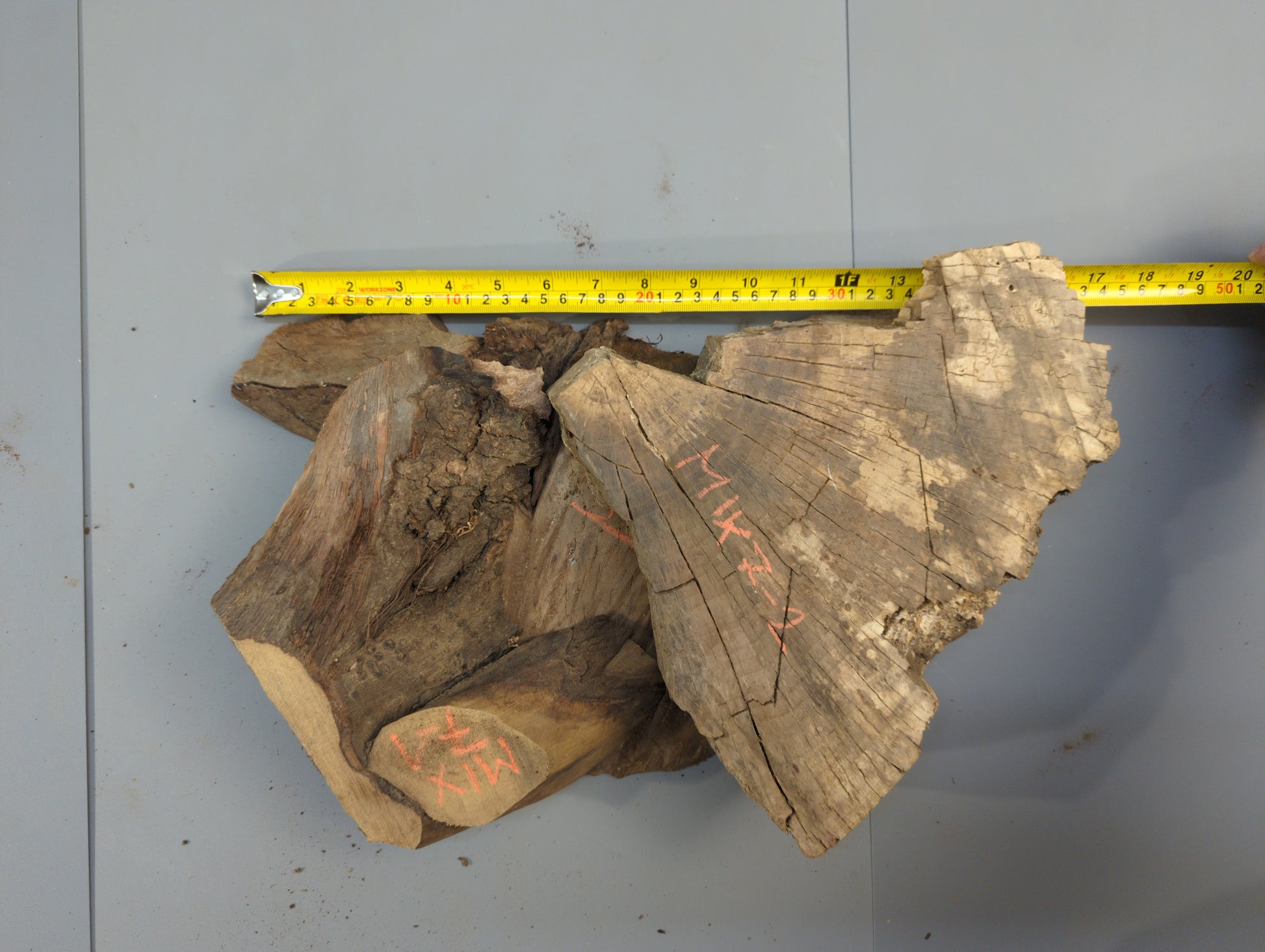 Irregular brown wood pieces with cracks and red markings, measured by a yellow tape on a grey surface.