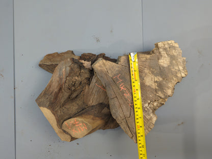 Several irregular, live-edge wood slices, some wedge-shaped, with red markings and a yellow measuring tape.