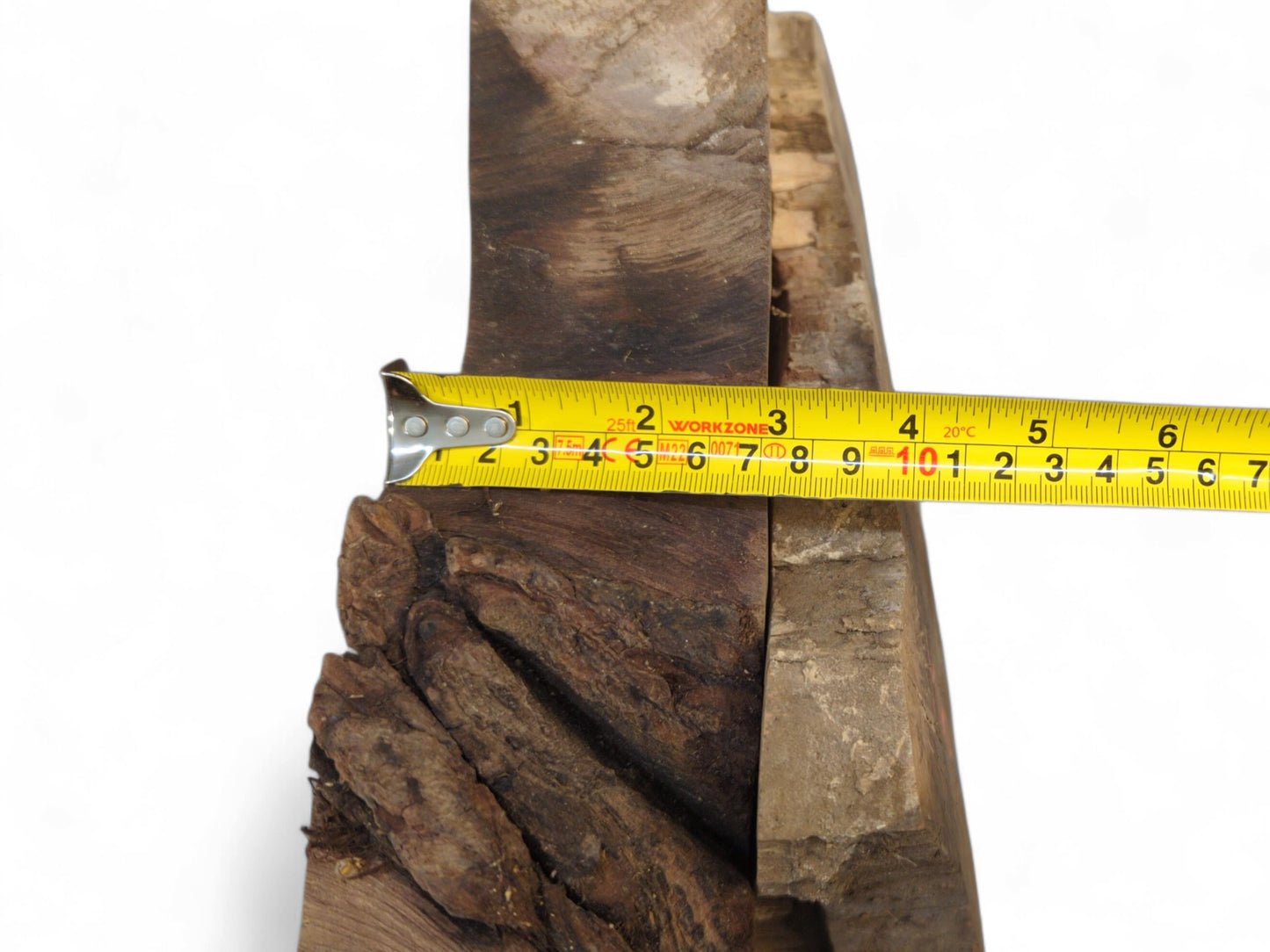 Yellow measuring tape indicates the five-inch width of a dark brown, textured, wedge-shaped wood slice.