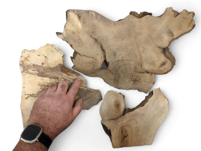 Four irregular wood slices with live edges in various brown tones, one touched by a hand.