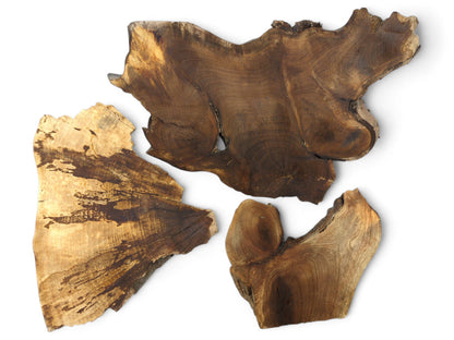Multiple irregular, live-edge wood slices showing diverse brown tones and natural grain texture on white.