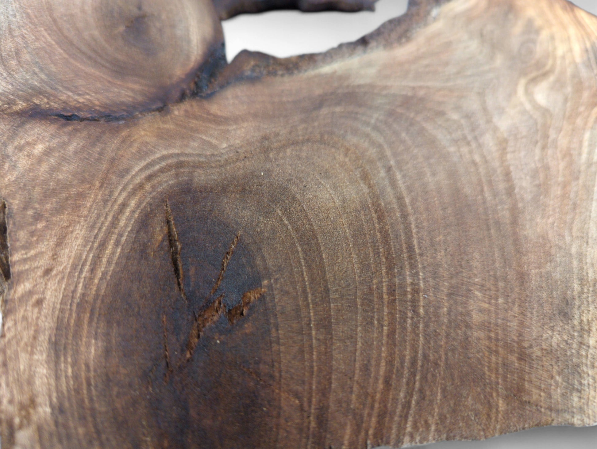 Close-up of a brown wood slice showing detailed natural grain patterns and a dark, cracked knot.