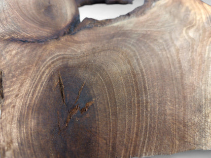 Close-up of a brown wood slice showing detailed natural grain patterns and a dark, cracked knot.