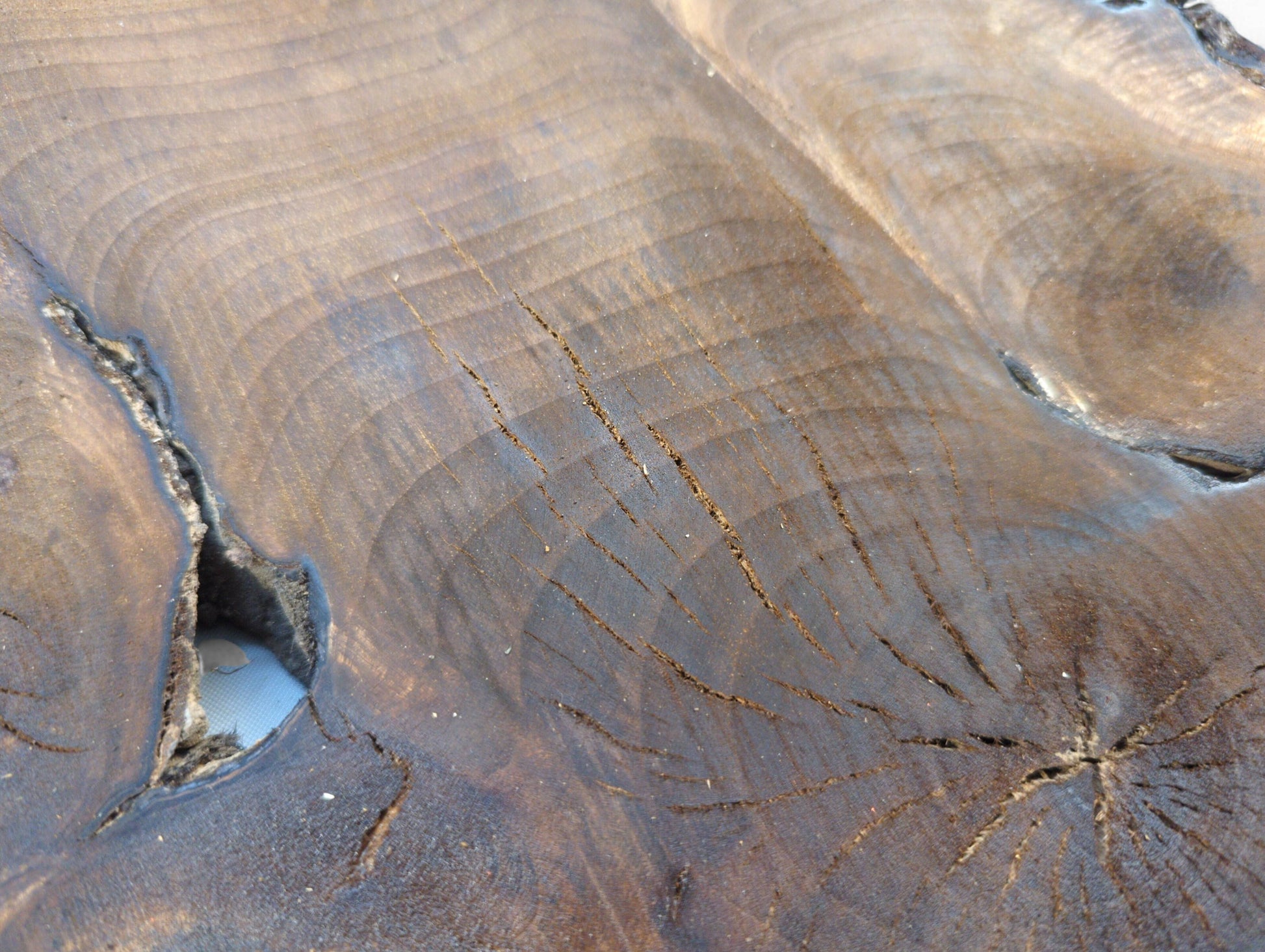 Detailed view of a dark brown wood slice, featuring prominent annual rings, multiple cracks, and a large void.
