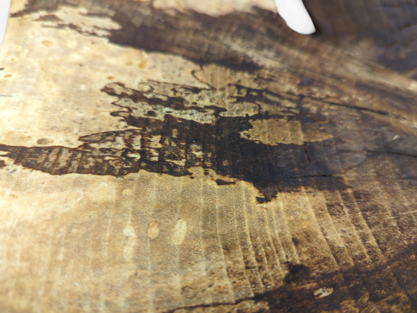 Close-up of a light brown wood surface, featuring dark, irregular patterns and distinct wood grain.
