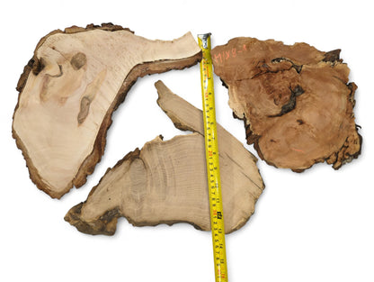 Three irregular wood slices, light to dark brown, with live edges and a yellow tape measure.