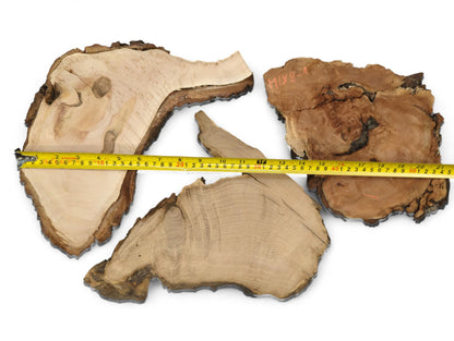 Several irregular, raw wood slices with light and dark live edges, measured by a yellow tape.