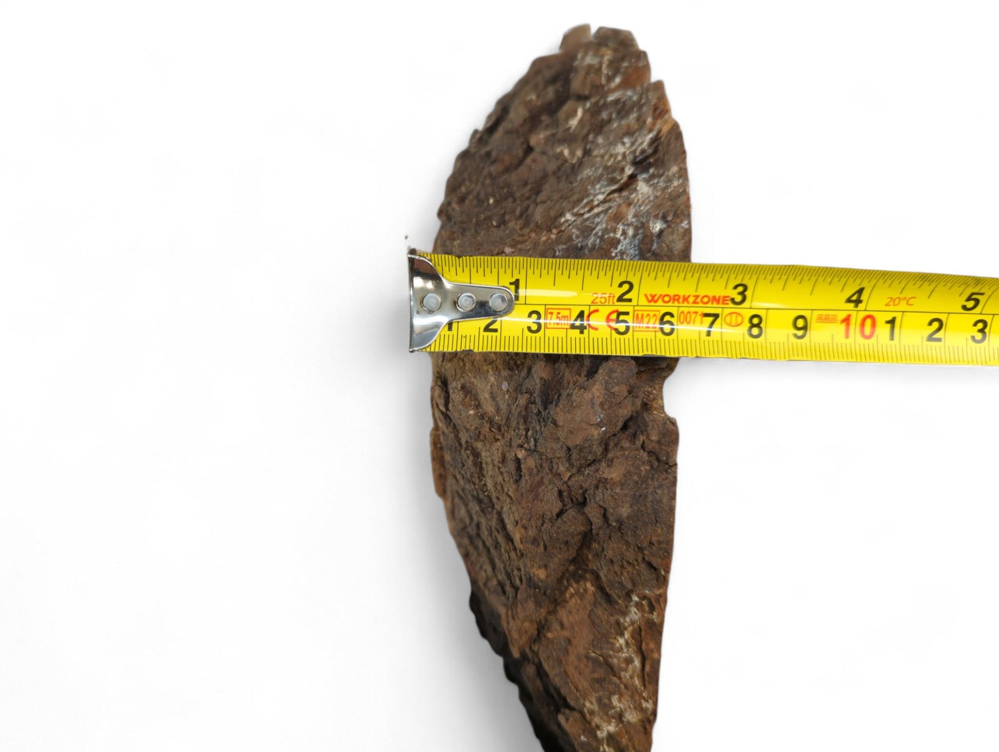 Rough, dark brown, irregular wood piece measured horizontally by a yellow tape against a white background.