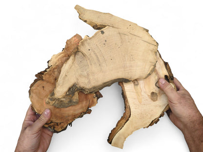 Hands holding three unfinished, live-edge wood slices displaying varied grain, bark, and natural tones.