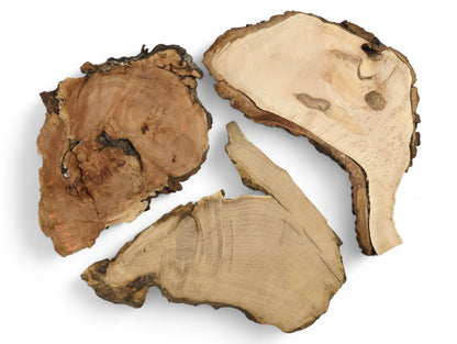 Raw wood slices, irregular in shape, display pale, tan, and medium brown tones with natural live edges.