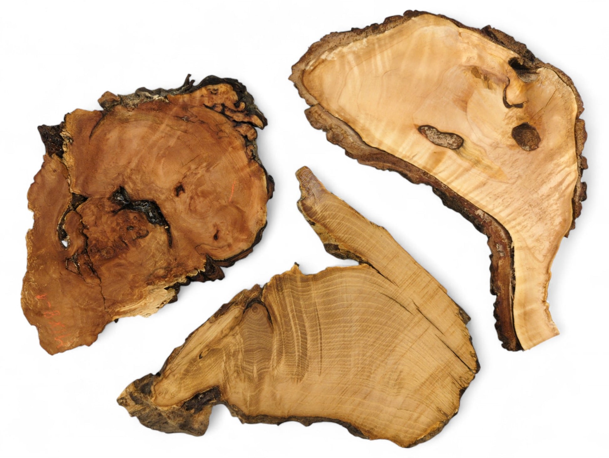 Irregular raw wood slices, varying from light beige to dark brown, with natural live edges.