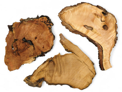 Irregular raw wood slices, varying from light beige to dark brown, with natural live edges.