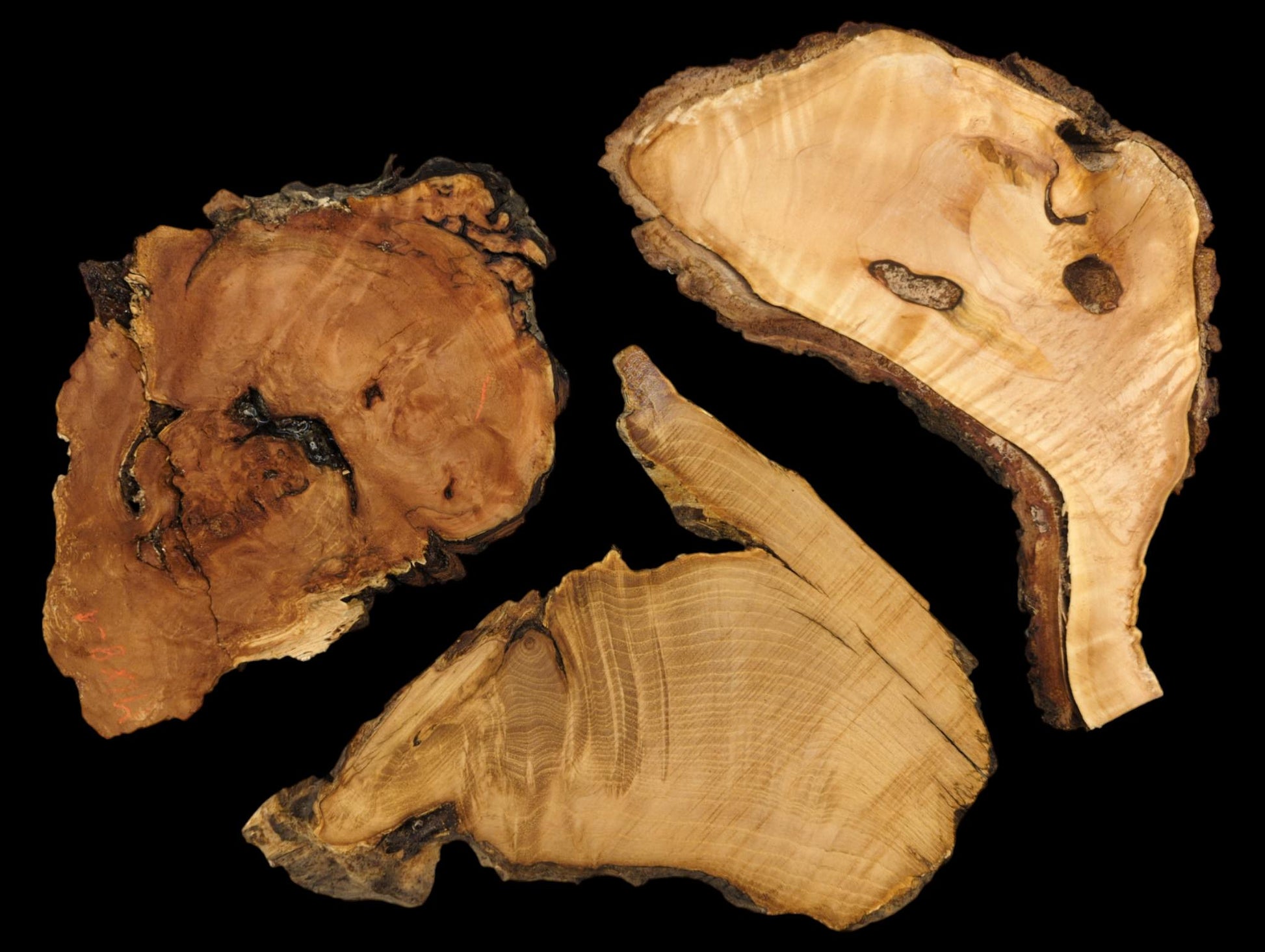 Irregular wood slices, three individual pieces, feature live edges, visible grain, and varying brown colors.