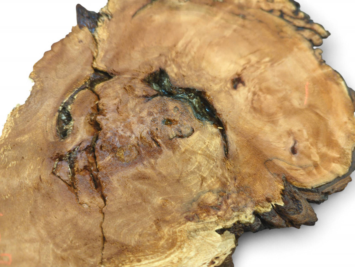 Irregularly shaped wood slice close-up, displaying light brown grain, dark live edge, and natural cracks.