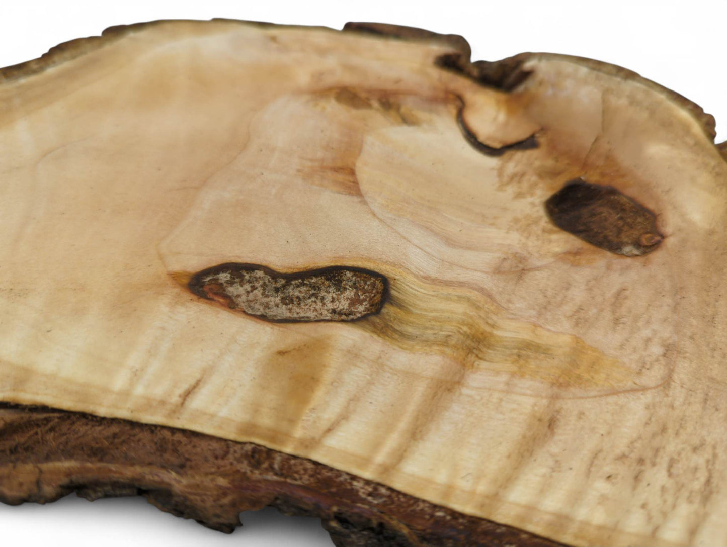 A light-colored wood slice displays natural grain patterns, a dark live edge, and two knot holes.