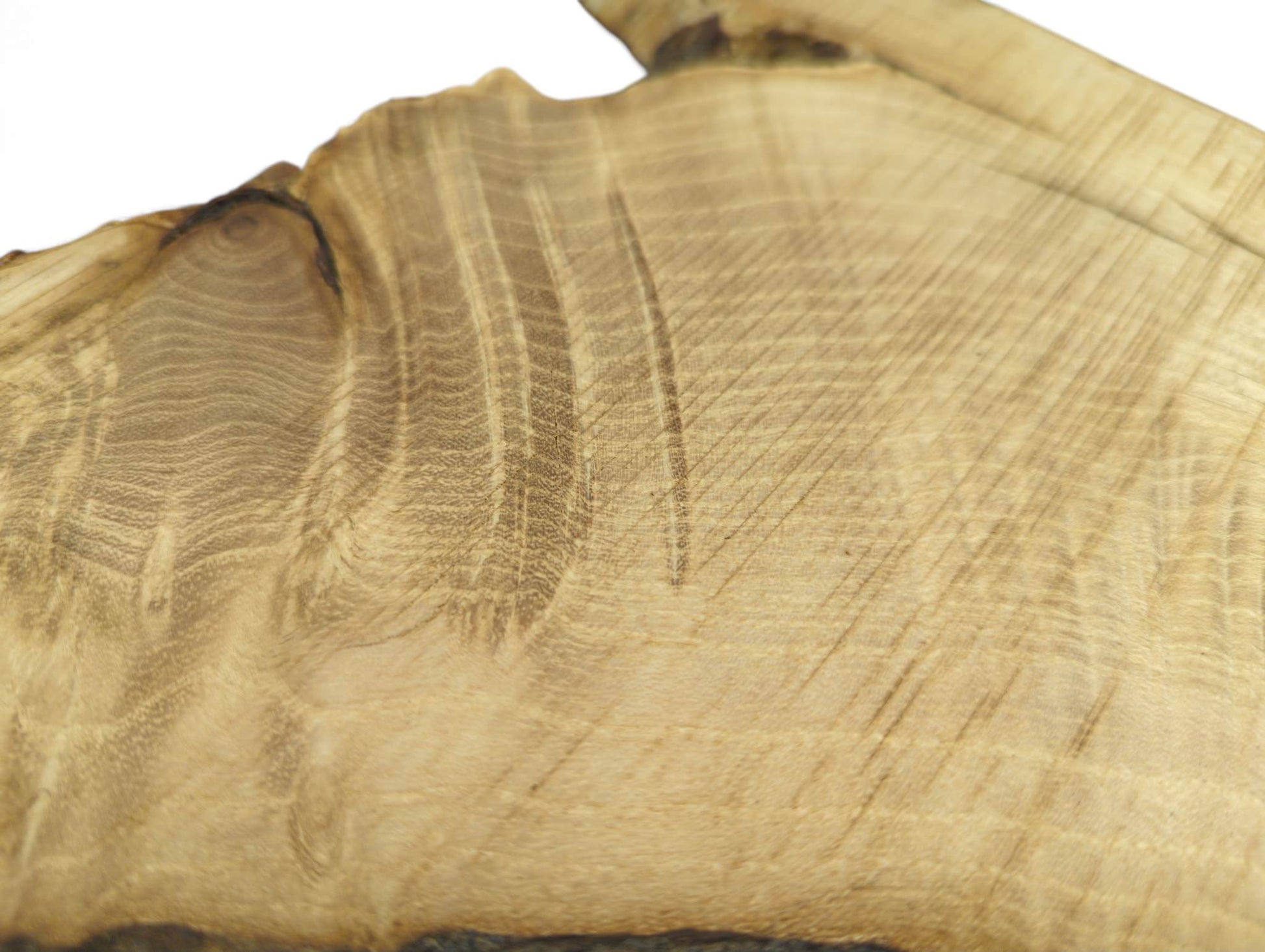 Single light brown wood slice close-up, displaying natural grain patterns and a dark, irregular live edge.