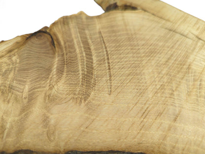 Single light brown wood slice close-up, displaying natural grain patterns and a dark, irregular live edge.