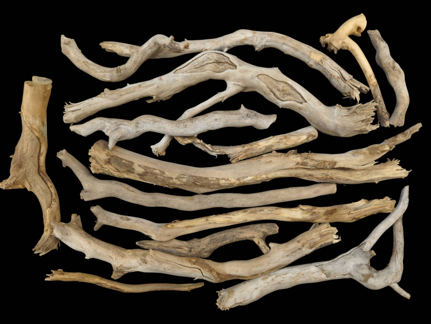 Multiple weathered driftwood sticks, varying in shape, light brown, beige, and gray, on black.