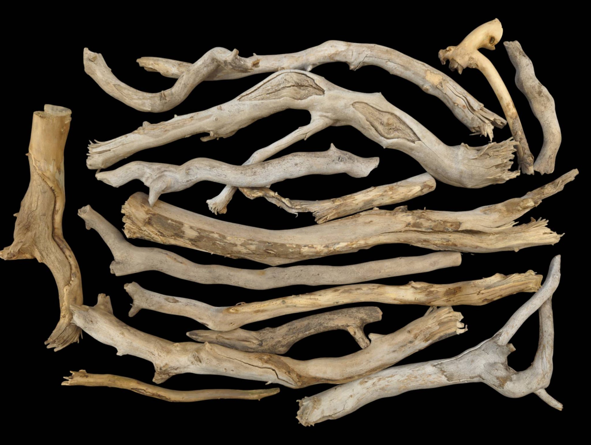 Multiple weathered driftwood sticks, varying in shape, light brown, beige, and gray, on black.