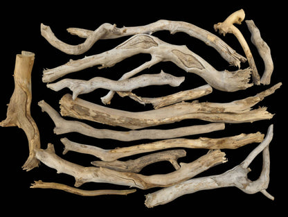 Multiple weathered driftwood sticks, varying in shape, light brown, beige, and gray, on black.