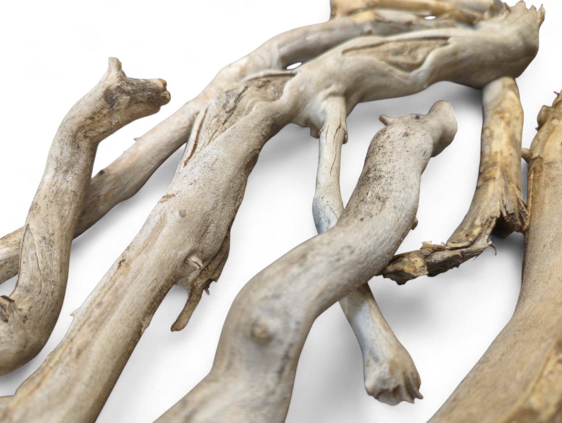 Intricate shapes of light brown and gray natural driftwood sticks spread across a white surface.