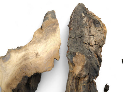 Two irregular wood pieces: one light tan with visible grain, one dark grey with cracked, rough bark.