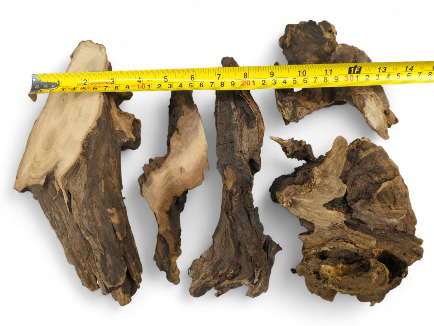 Five dark brown, gnarled wood pieces with rough texture and lighter cuts, measured by a yellow tape.