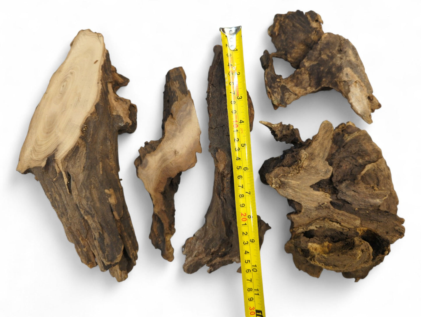 Gnarled, irregularly shaped, dark brown wood pieces with exposed lighter grain, rough texture, measured by yellow tape.