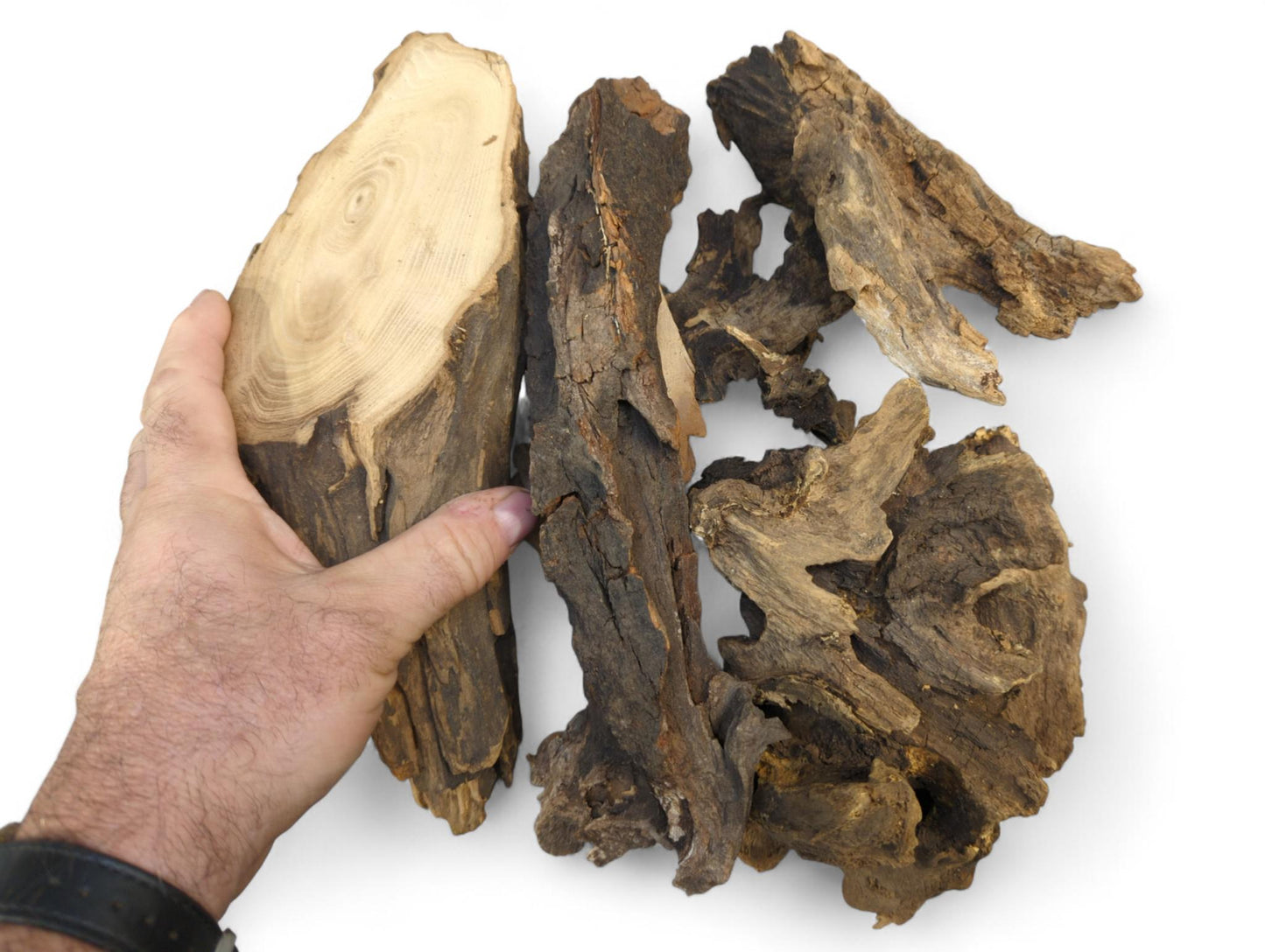A hand holds an irregular light wood piece showing grain, alongside several dark, rough, aged wood fragments.