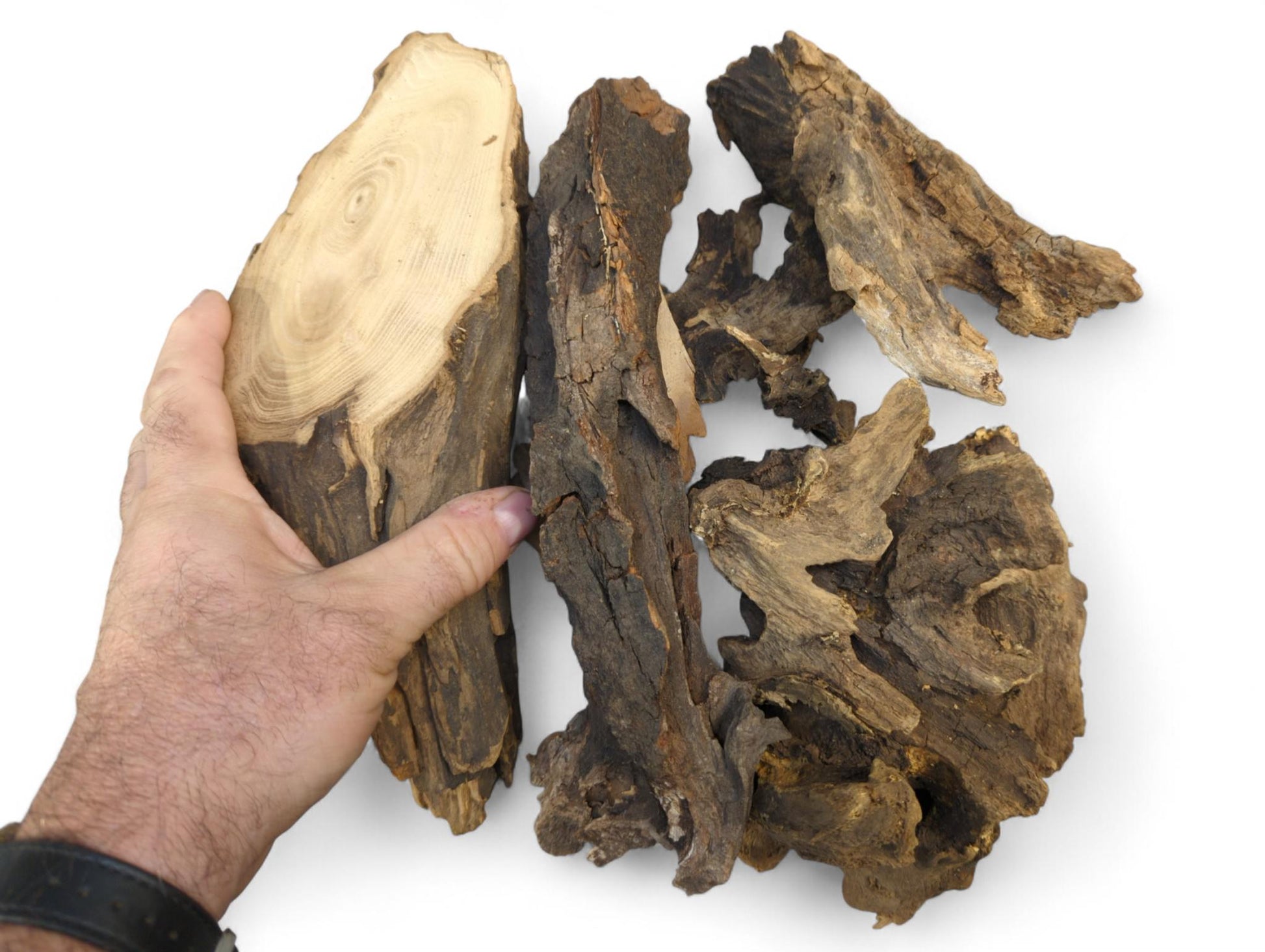 A hand holds an irregular light wood piece showing grain, alongside several dark, rough, aged wood fragments.