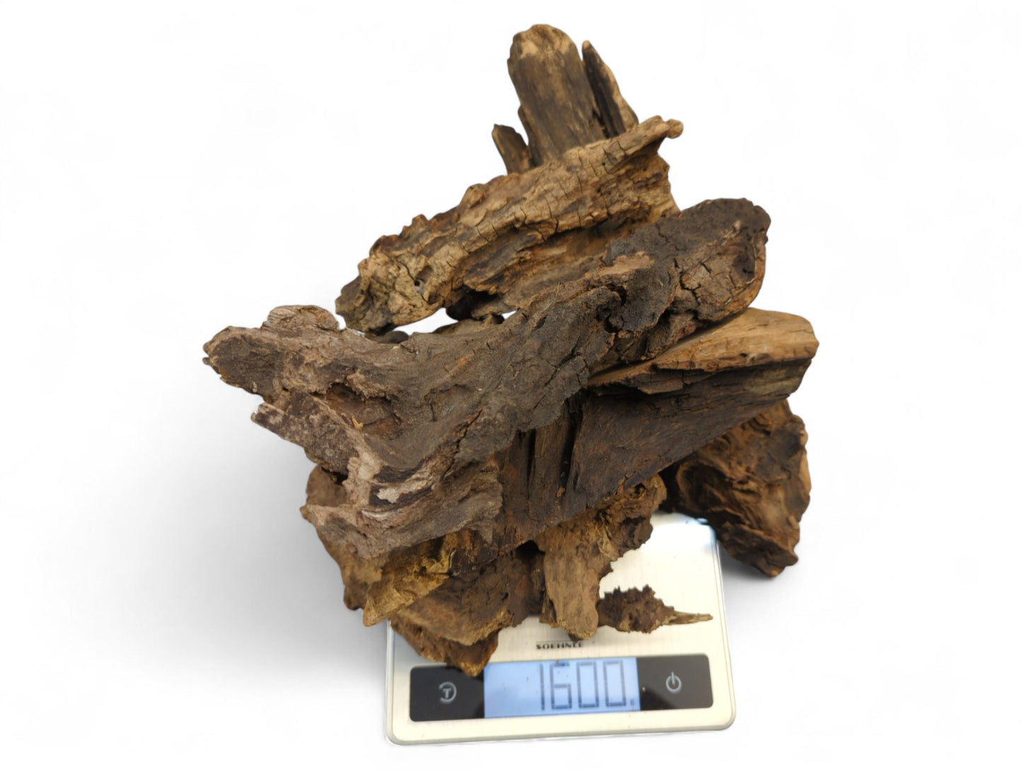 Irregular, gnarled dark wood pieces with rough texture and exposed grain, on a scale displaying 1600.