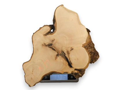 Showing 0.75, an irregular pale wood piece features dark rough bark and prominent grain patterns.