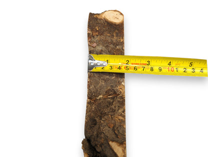 This dark brown linden root wood slice, featuring rough bark, is measured horizontally by a yellow tape.