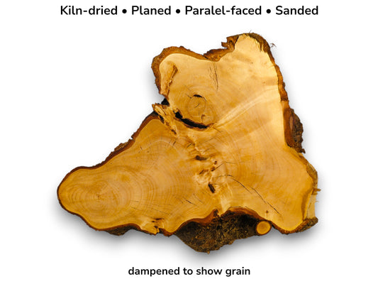 Irregularly shaped linden root wood slice, kiln-dried, planed, sanded, with dark bark and prominent grain.