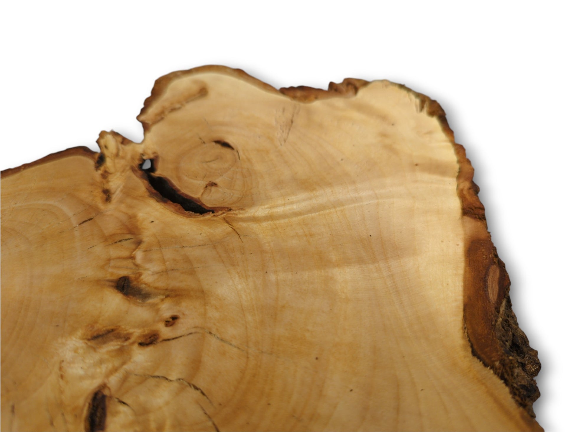 Irregular linden root wood slice, pale, untreated, with visible grain, natural cracks, and dark bark.