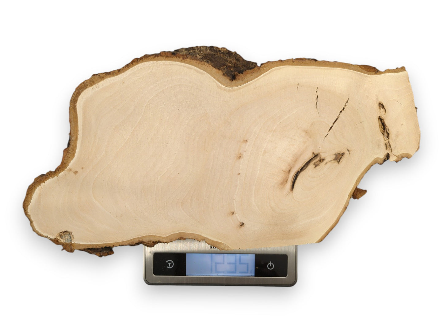 Organic, light-colored linden wood slice with dark bark, on a digital scale showing 1.235.
