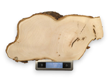Organic, light-colored linden wood slice with dark bark, on a digital scale showing 1.235.