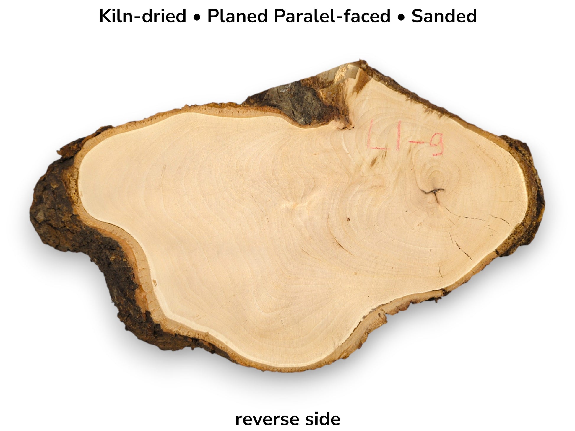 Sanded linden root wood slice (reverse), bark edge. Image shows 'Kiln-dried, Planed' text and 'L1-9'.