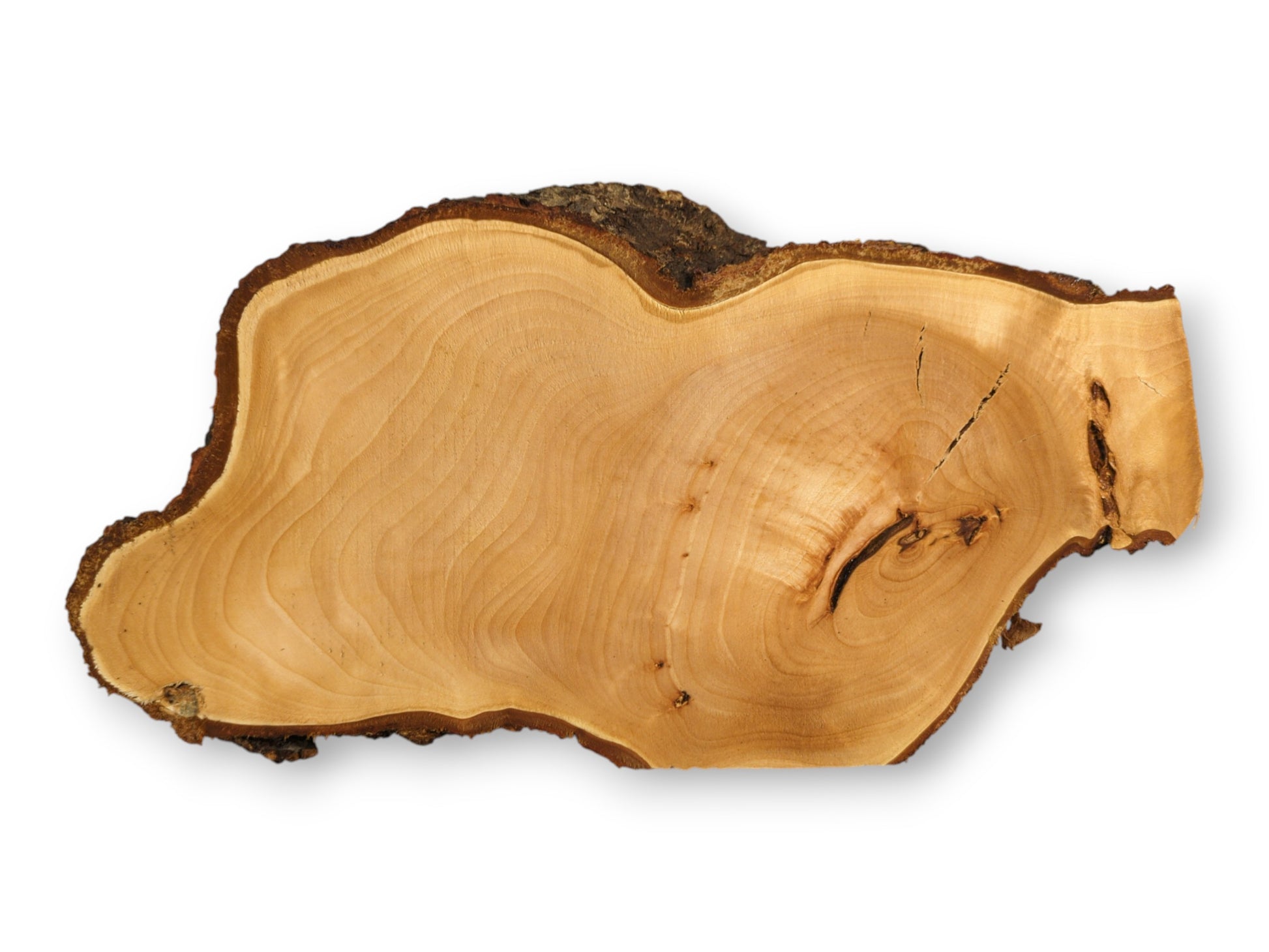Irregularly shaped linden root wood slice, pale golden, with dark bark, growth rings, and cracks.