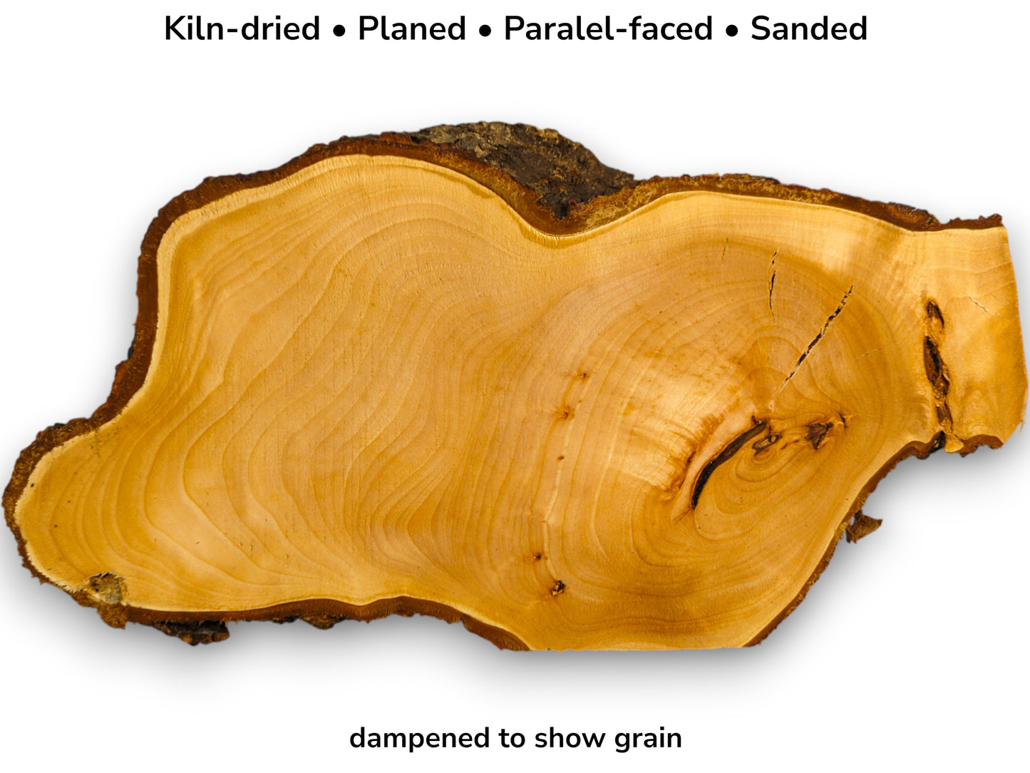 Image with text details showing golden linden root slice with wavy grain and dark rough bark.
