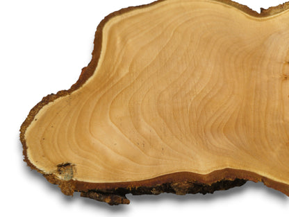 Smooth, planed linden root wood slice, golden-tan, with rough dark bark and distinct wavy grain.