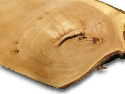 Untreated linden root wood slice, light brown, featuring concentric rings, dark knots, and a natural bark edge.