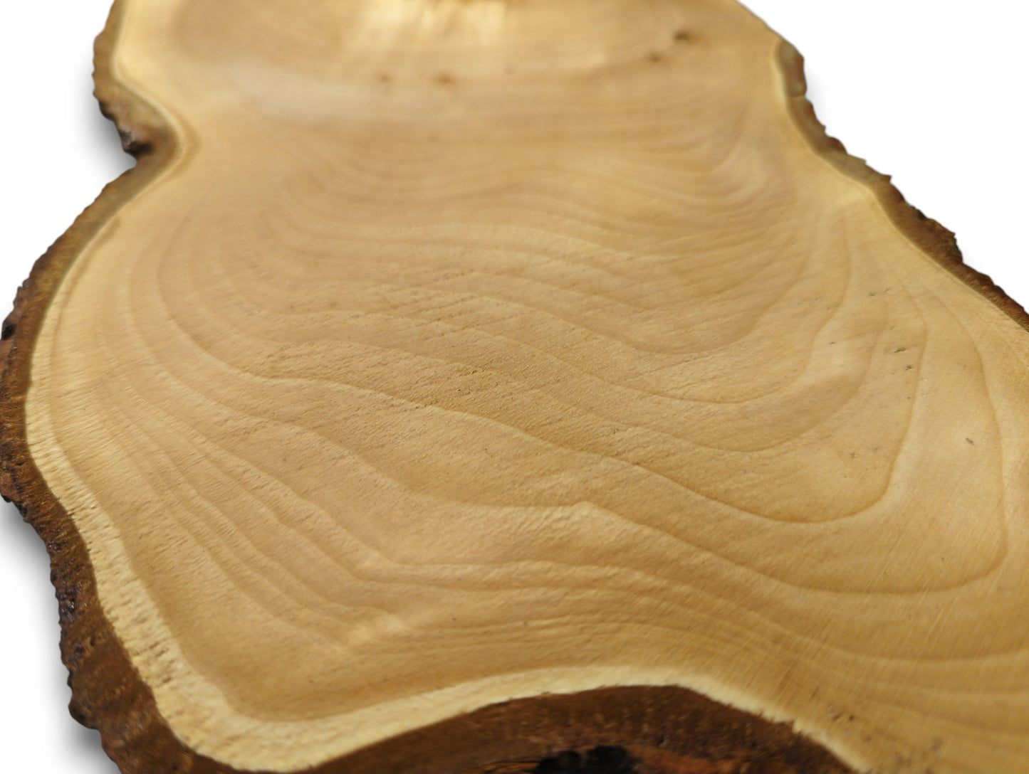 Irregular light brown linden wood slice showing smooth, planed surface, wavy grain, and dark natural bark.