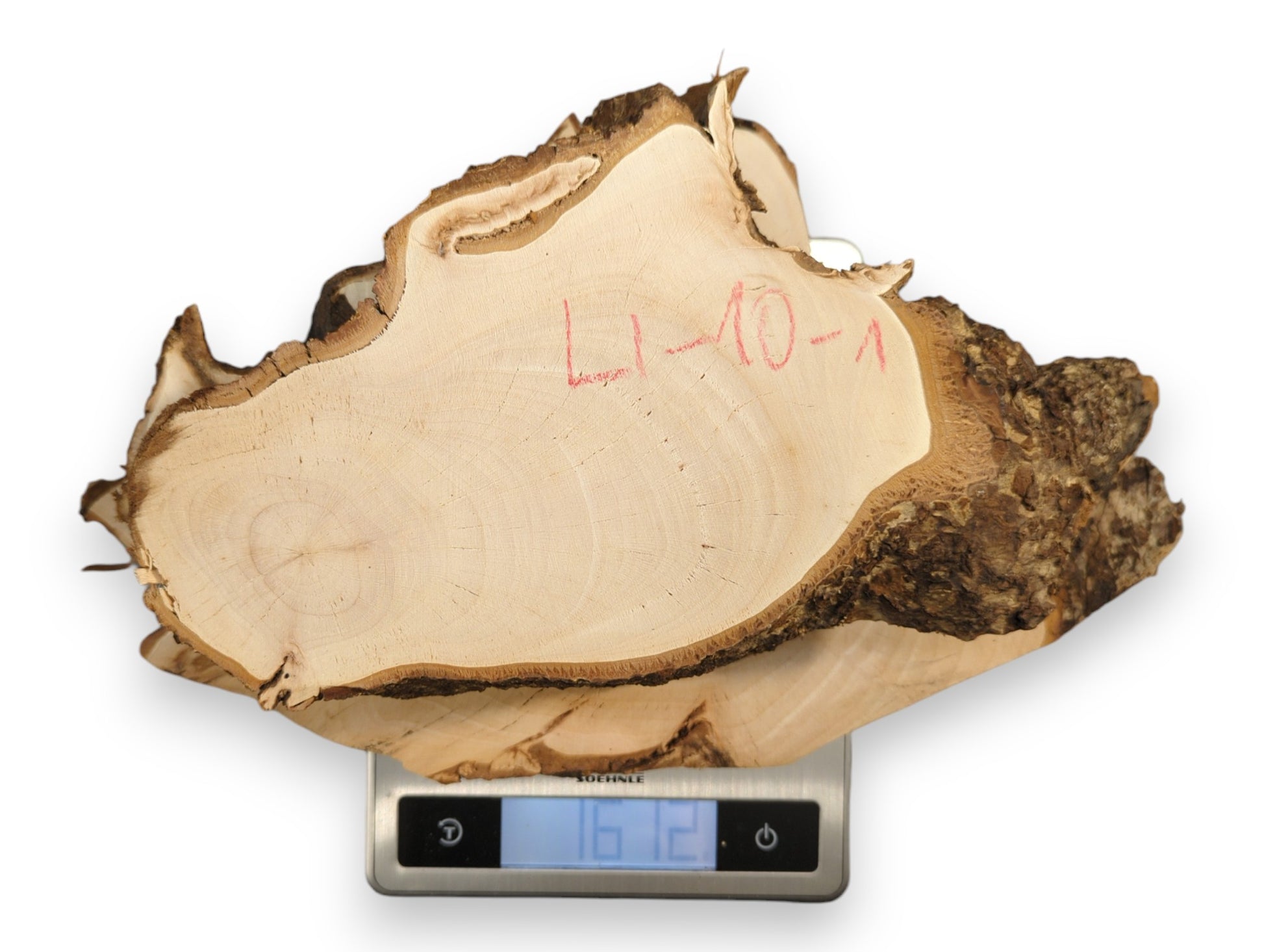 Light-toned linden root wood slice with rough dark bark, red 'LL-10-1' marking, on a digital scale.